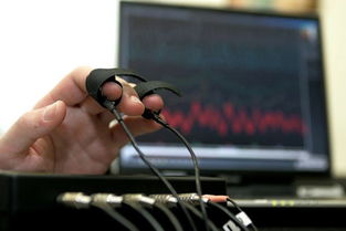 不借助測(cè)謊儀 網(wǎng)絡(luò)科技研發(fā)中辨識(shí)說謊者的四招實(shí)用技巧