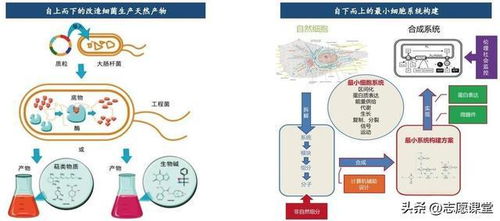 生物坑？轉(zhuǎn)行跳槽別慌 這3高薪藍(lán)海深度技術(shù)，國(guó)家隊(duì)在投入巨資（有案例拆解+真實(shí)薪酬分化落差心得故事拆解即未來(lái)職業(yè)發(fā)展變現(xiàn)模型…